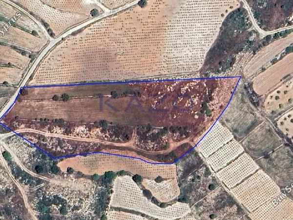 land for sale pachna limassol 7784095 image 10408792