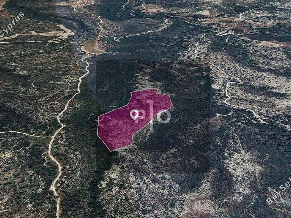 land for sale platanisteia limassol 8275095 image 15157472