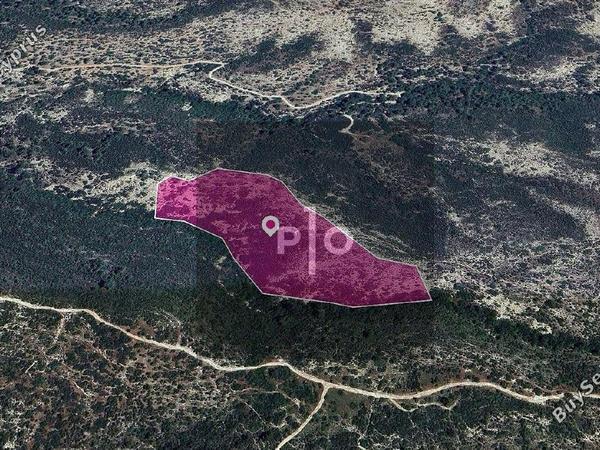 land for sale platanisteia limassol 8275095 image 15157473