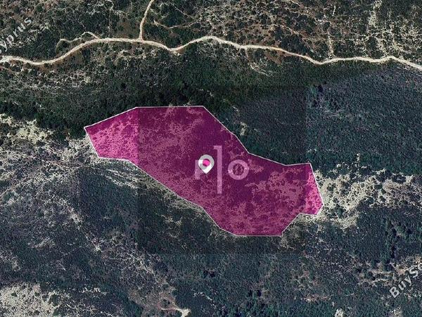 land for sale platanisteia limassol 8275095 image 15157474