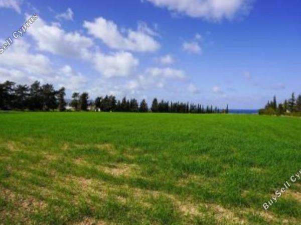 land for sale poli chrysochous paphos 1354095 image 5595310