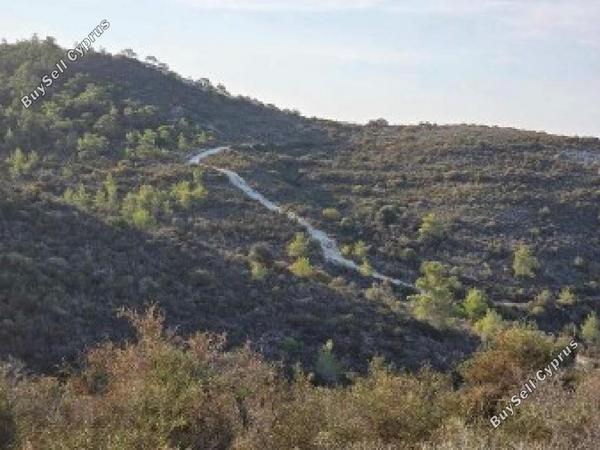 land for sale tochni larnaca 8209095 image 15867457