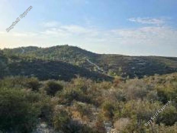 land for sale tochni larnaca 8209095 image 15867458