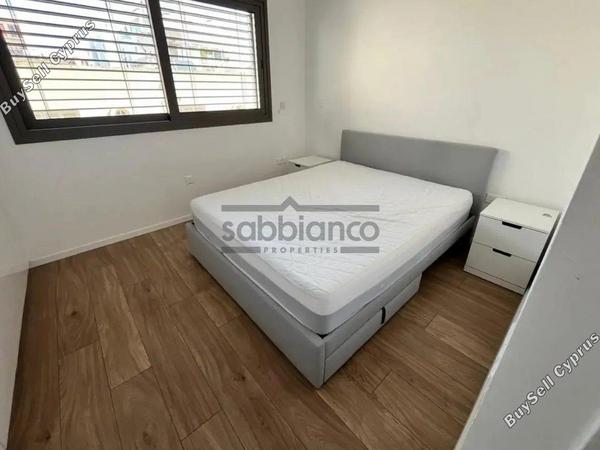 2 bedroom apartment for rent acropolis nicosia 8749195 image 16473570