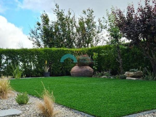 3 bedroom detached house for rent kato akourdalia paphos 8723195 image 16391735