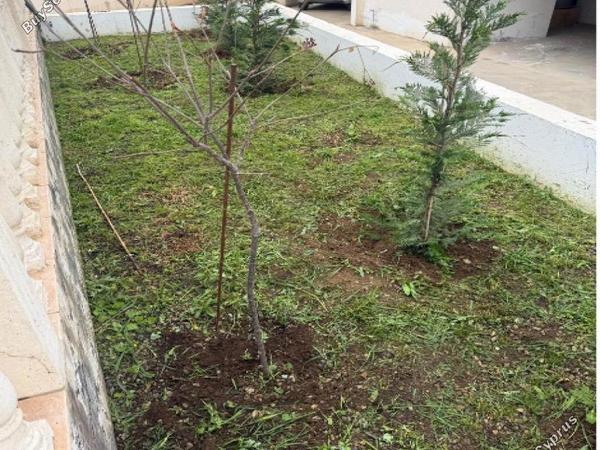 3 bedroom detached house for sale kato lakatamia nicosia 8437195 image 16173095