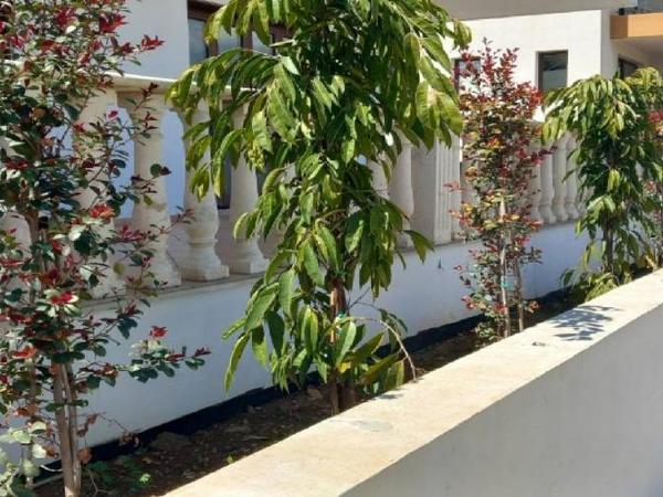 3 bedroom detached house for sale kato lakatamia nicosia 8437195 image 16248425