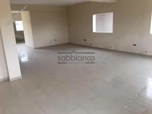 4 bedroom detached house for sale alethriko larnaca 8743195 image 16411345