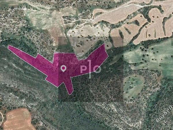 land for sale agios theodoros larnacas larnaca 8275195 image 15740712