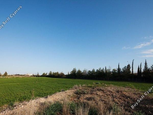 land for sale archangelos nicosia 1932195 image 14472935