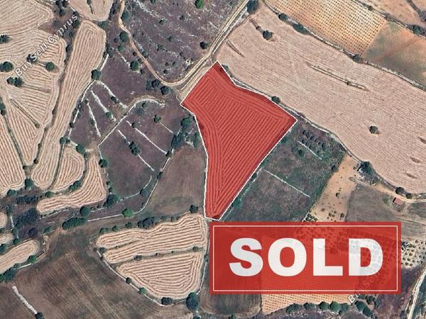 land sold pachna limassol 8468195 image 16061781