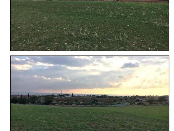 plot for sale anarita paphos 1769195 image 12704527