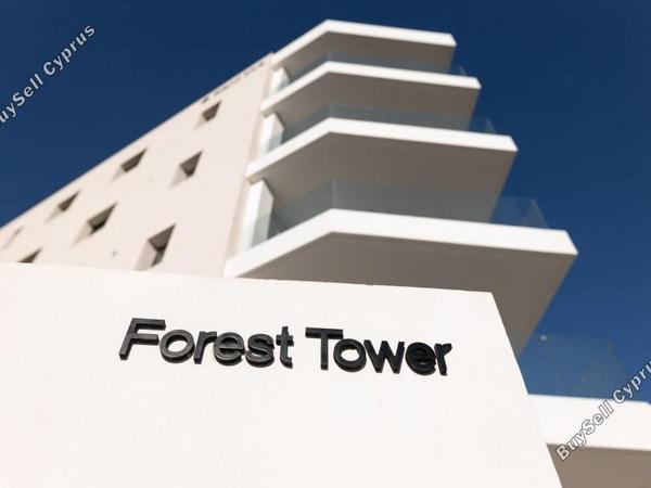2 bedroom apartment for rent kato paphos universal paphos 8359295 image 15846738