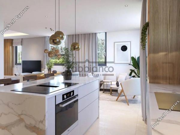 3 bedroom detached house for sale alaminos larnaca 8746295 image 16440906