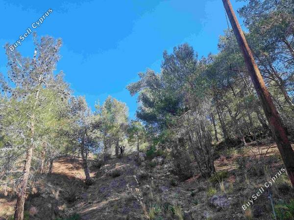 land for sale moniatis limassol 1334295 image 2466109