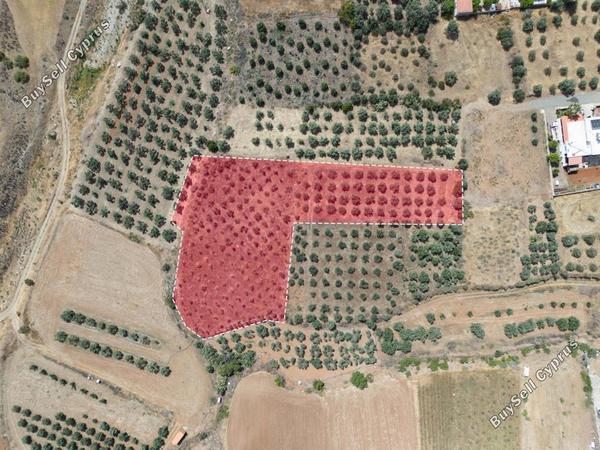 land for sale potami nicosia 8399295 image 15907461