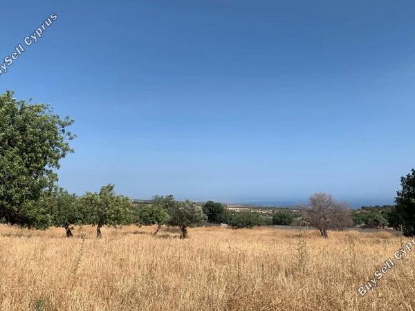 land for sale pachna limassol 1835495 image 12710720