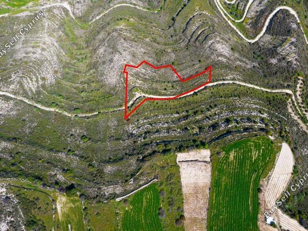 land for sale pachna limassol 900495 image 7331746
