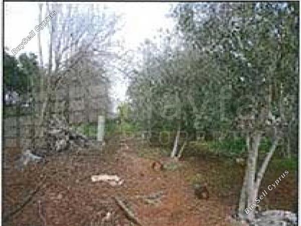 land for sale xylofagou larnaca 7870495 image 11377934