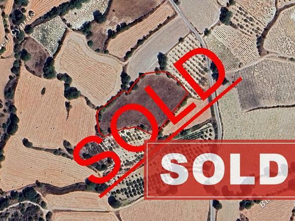 land sold lemona paphos 7718495 image 13109415