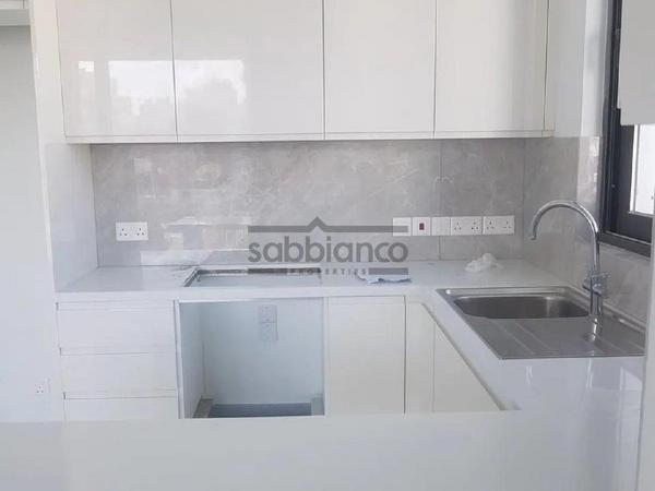 1 bedroom apartment for rent strovolos nicosia 8749595 image 16477180