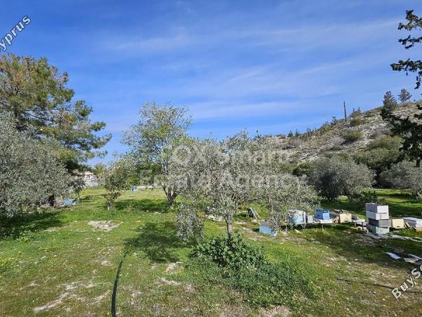 land for sale aradippou larnaca 1744595 image 5813298