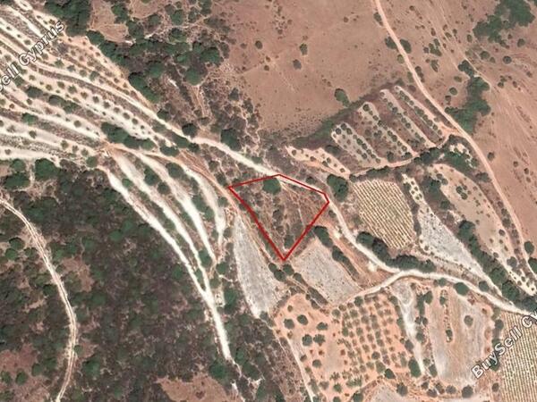 land for sale kallepeia paphos 906595 image 2808785
