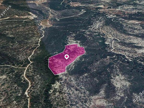 land for sale platanisteia limassol 1183595 image 14113870