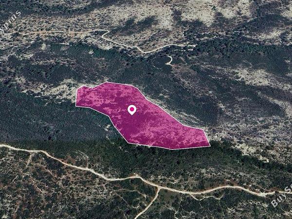 land for sale platanisteia limassol 1183595 image 14113877