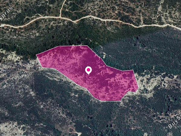 land for sale platanisteia limassol 1183595 image 14113886