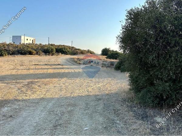 land for sale tochni larnaca 8554595 image 15556734