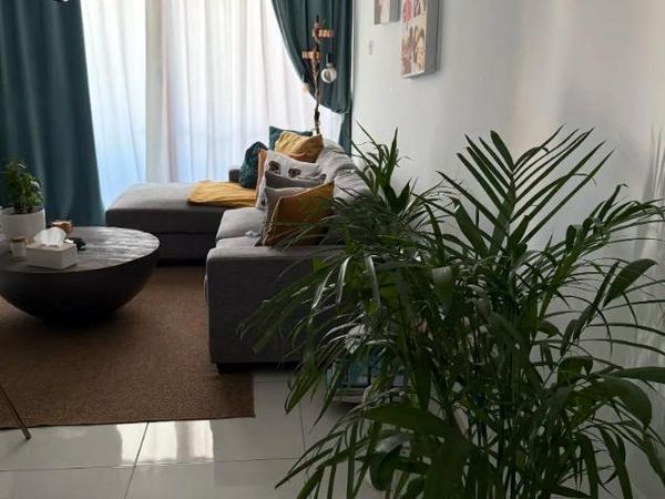 studio apartment for sale livadia larnacas larnaca 8692595 image 16156302