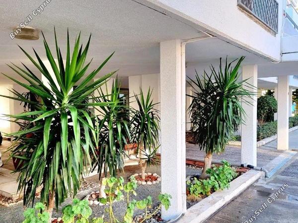 2 bedroom apartment for rent limassol municipality limassol 8581695 image 15673087