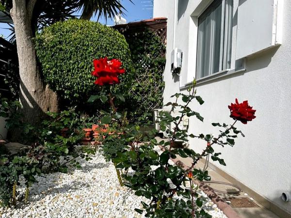 4 bedroom detached house for rent peyia paphos 8574695 image 16032950