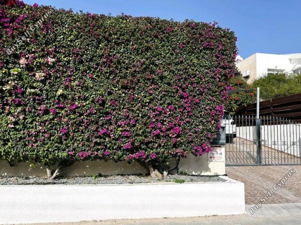 4 bedroom detached house for rent peyia paphos 8574695 image 16032962
