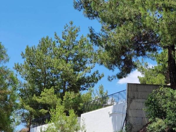 9 bedroom semi detached house for sale moniatis limassol 1065695 image 7679160