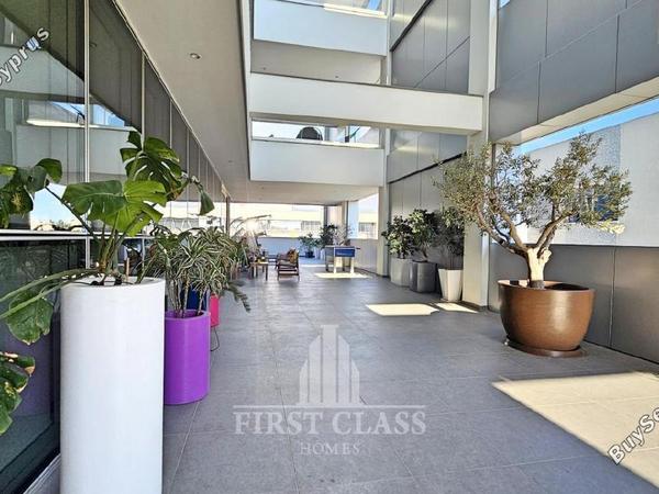 studio office for rent linopetra limassol 8705695 image 16260450