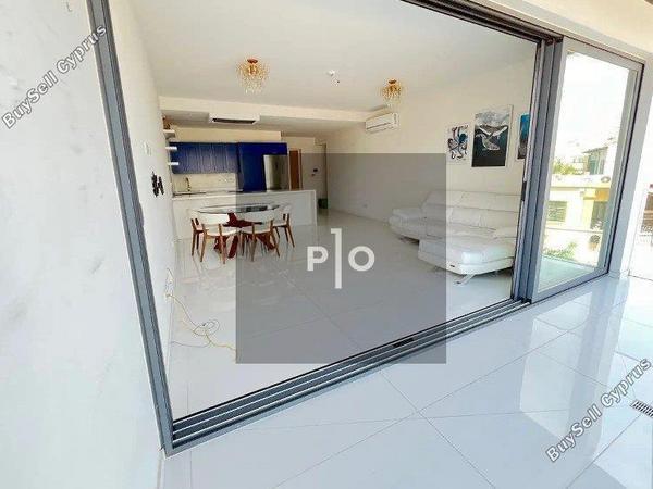 2 bedroom apartment for rent agios dometios nicosia 8083795 image 15147048
