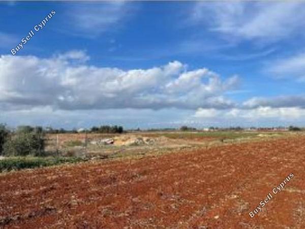 land for sale avgorou famagusta 1810795 image 6229250