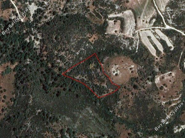 land for sale dora limassol 1194795 image 5570688