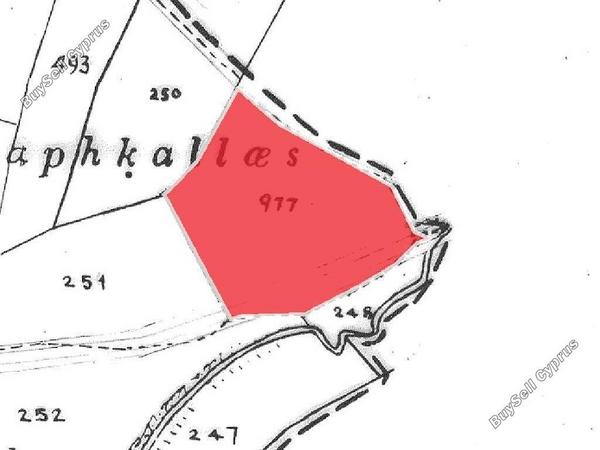 land for sale timi paphos 901795 image 15600015