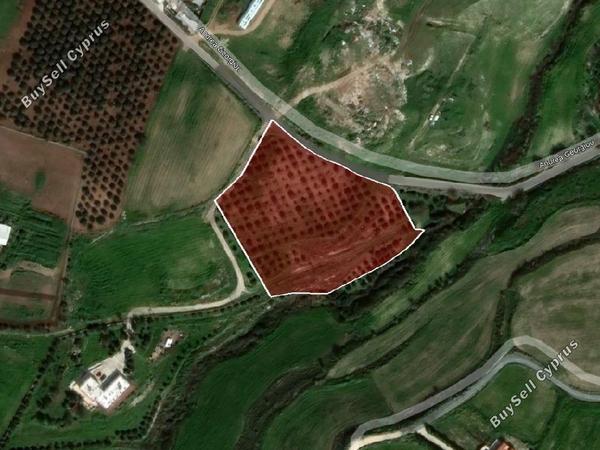 land for sale timi paphos 901795 image 15600017