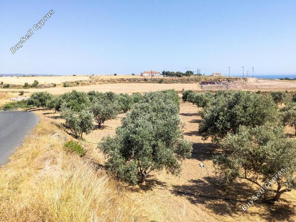 land for sale timi paphos 901795 image 15600019
