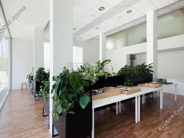 studio shop for rent agioi omologitai nicosia 8554795 image 17531380
