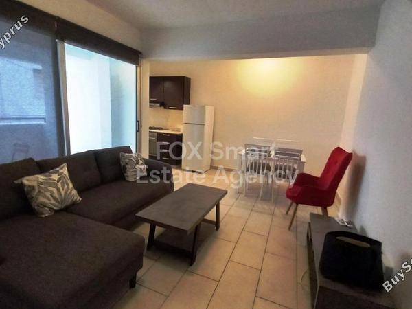 1 bedroom apartment for rent acropolis nicosia 8704895 image 16335220