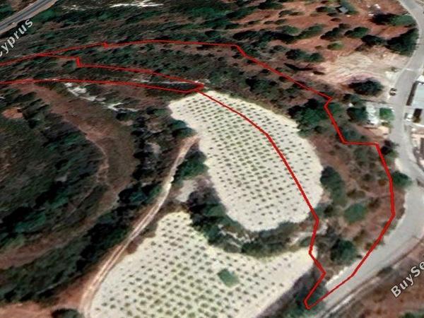 plot for sale episkopi pafou paphos 1684895 image 4406920