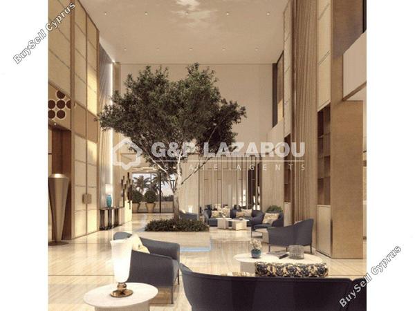 1 bedroom apartment for rent potamos germasogeias limassol 7579995 image 16334513