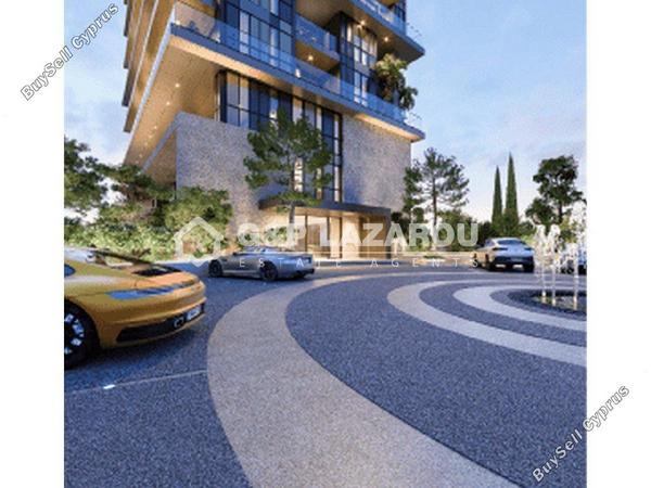 1 bedroom apartment for rent potamos germasogeias limassol 7579995 image 16334521