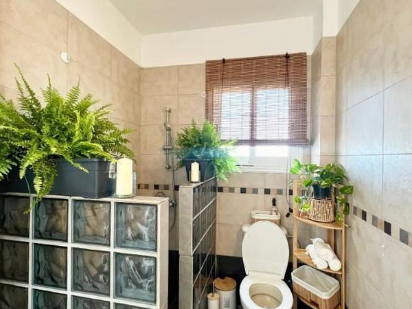 1 bedroom apartment for sale paphos municipality paphos 8629995 image 15871260