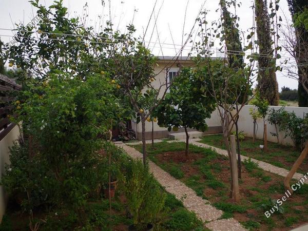3 bedroom detached house for sale katholiki limassol 8237995 image 14838555